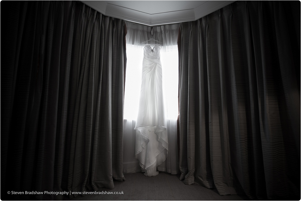 (C) Steven Bradshaw Photography