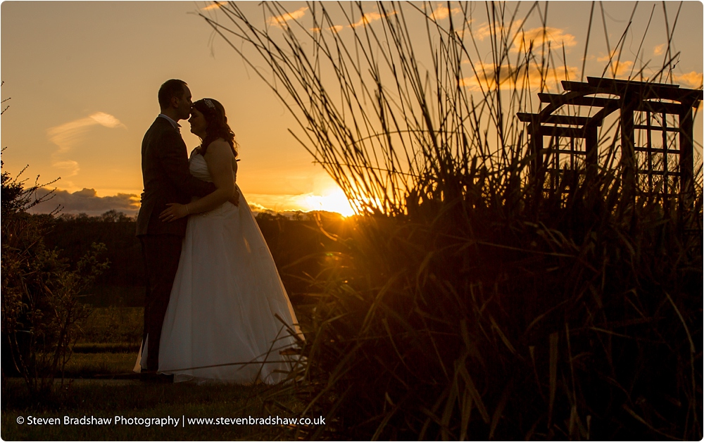(C) Steven Bradshaw Photography