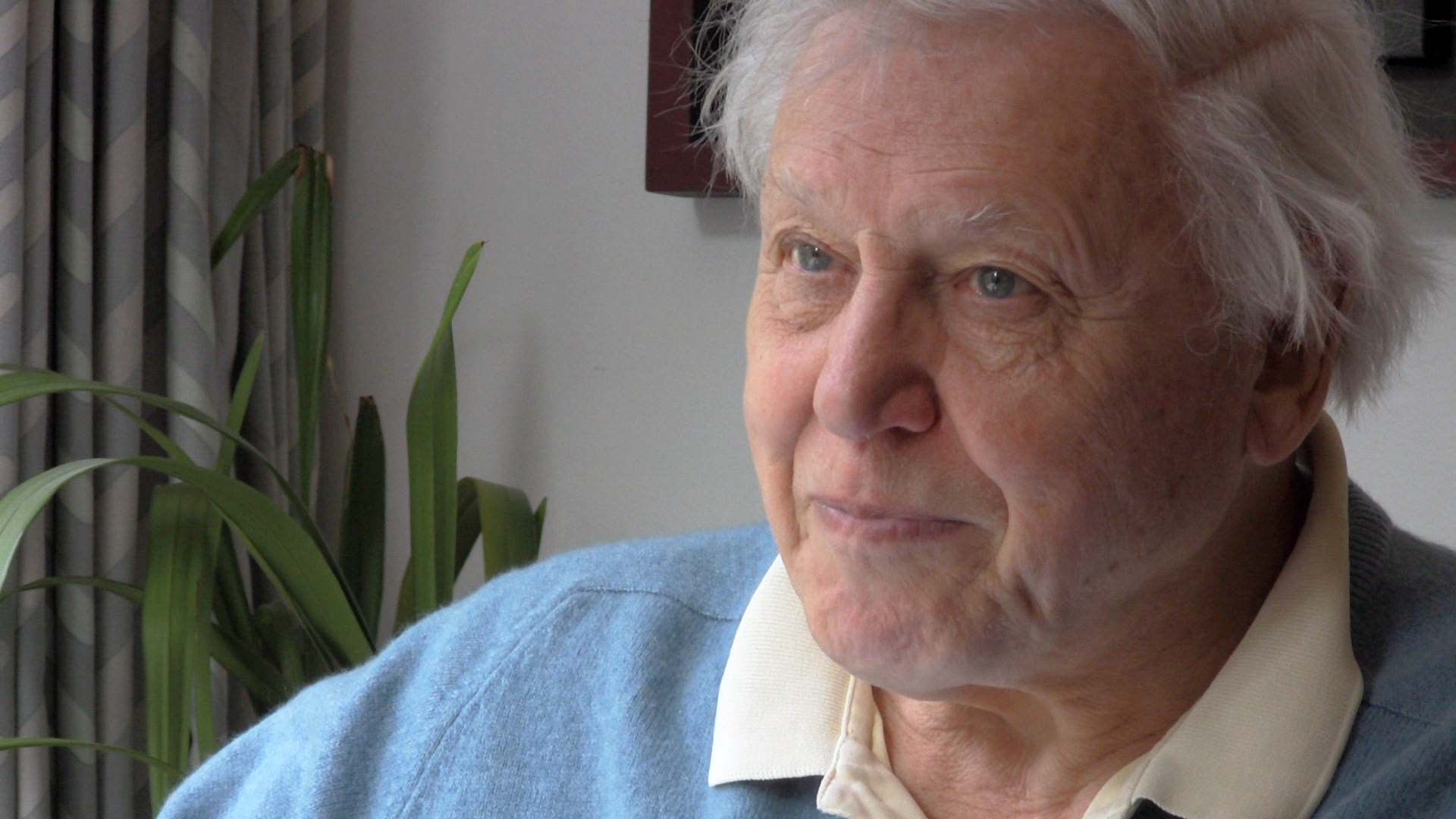 Website home_Attenborough.png