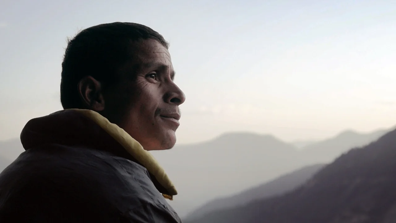Lifelines vimeo thumbnail.jpg