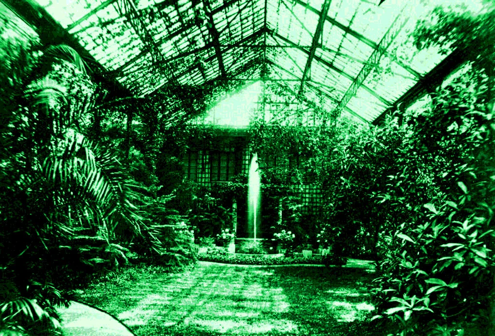 Gerald Murnane's <i>A Million Windows</i>