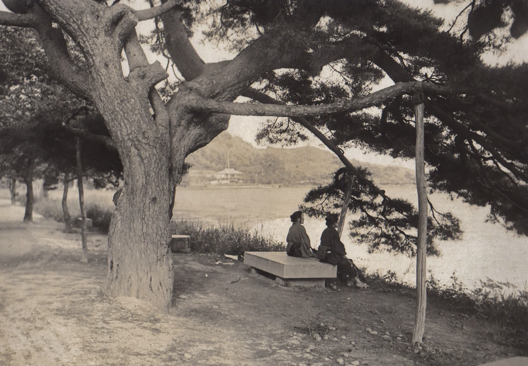 Yasushi Inoue's <i>The Hunting Gun</i> and <i>Life of a Counterfeiter</i>