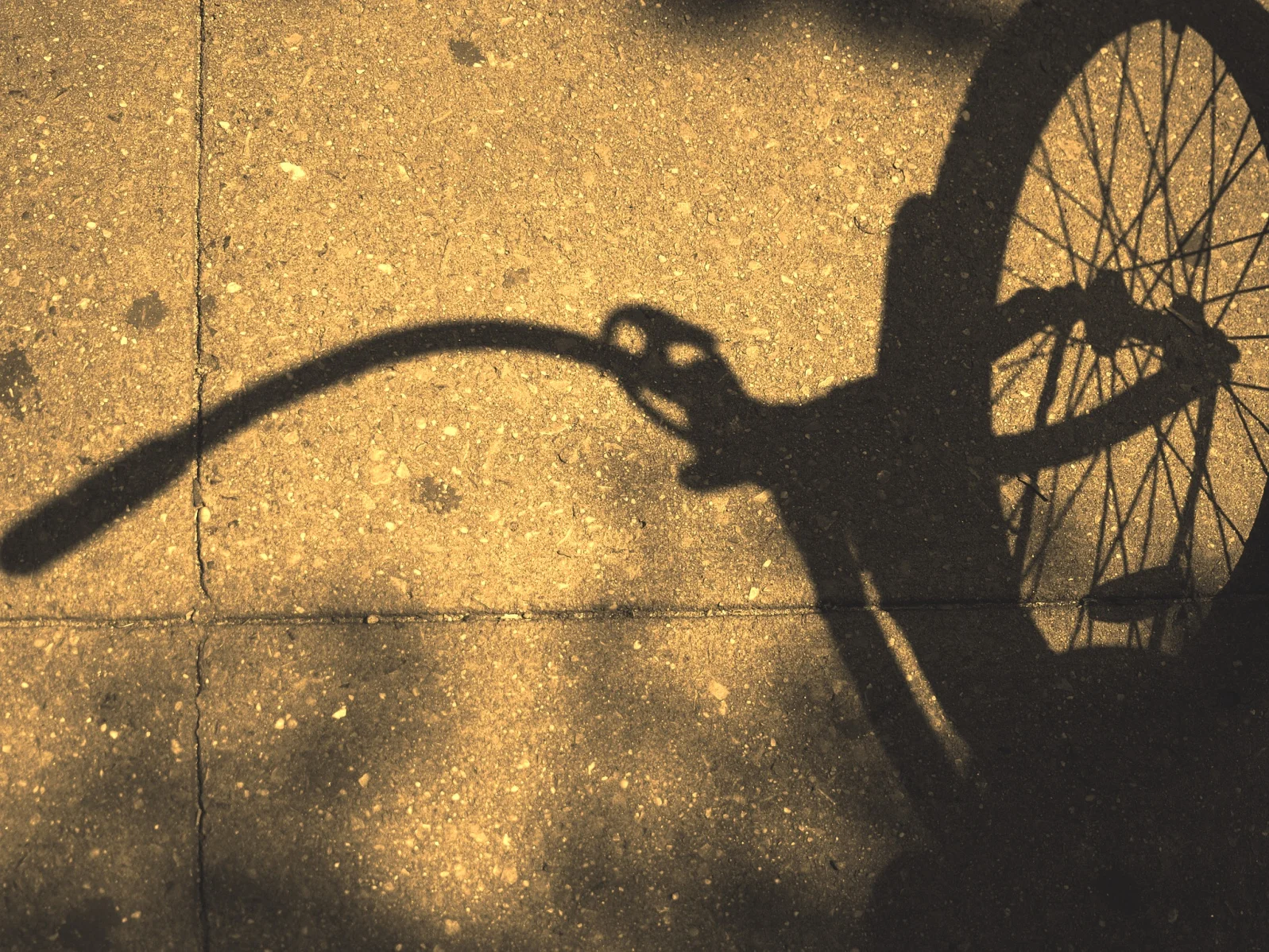 Valeria Luiselli's <i>Sidewalks</i> and <i>Faces in the Crowd</i>