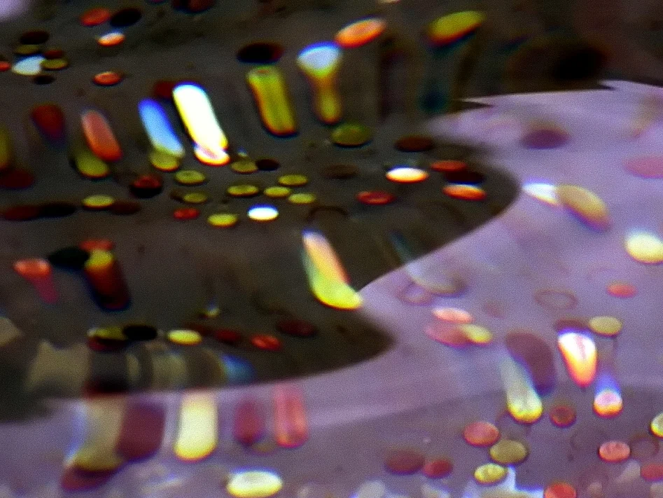 Roberto Bolaño’s <i>A Little Lumpen Novelita</i>