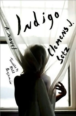 Indigo by Clemens J. Setz trans. Ross Benjamin (Liveright, Nov. 2014) Reviewed by Patrick Nathan