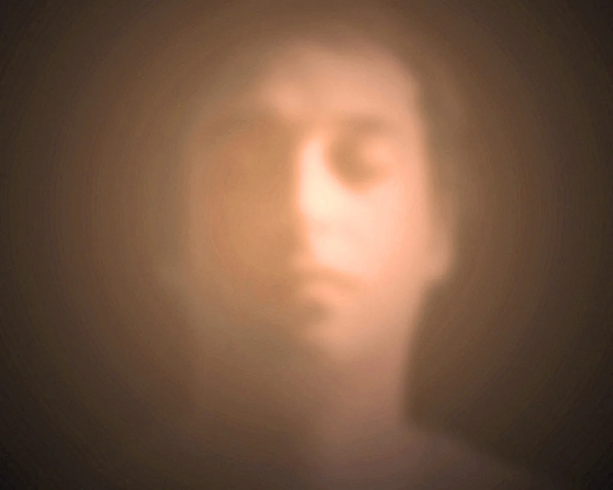 Emmanuel Carrère's <i>Limonov</i>