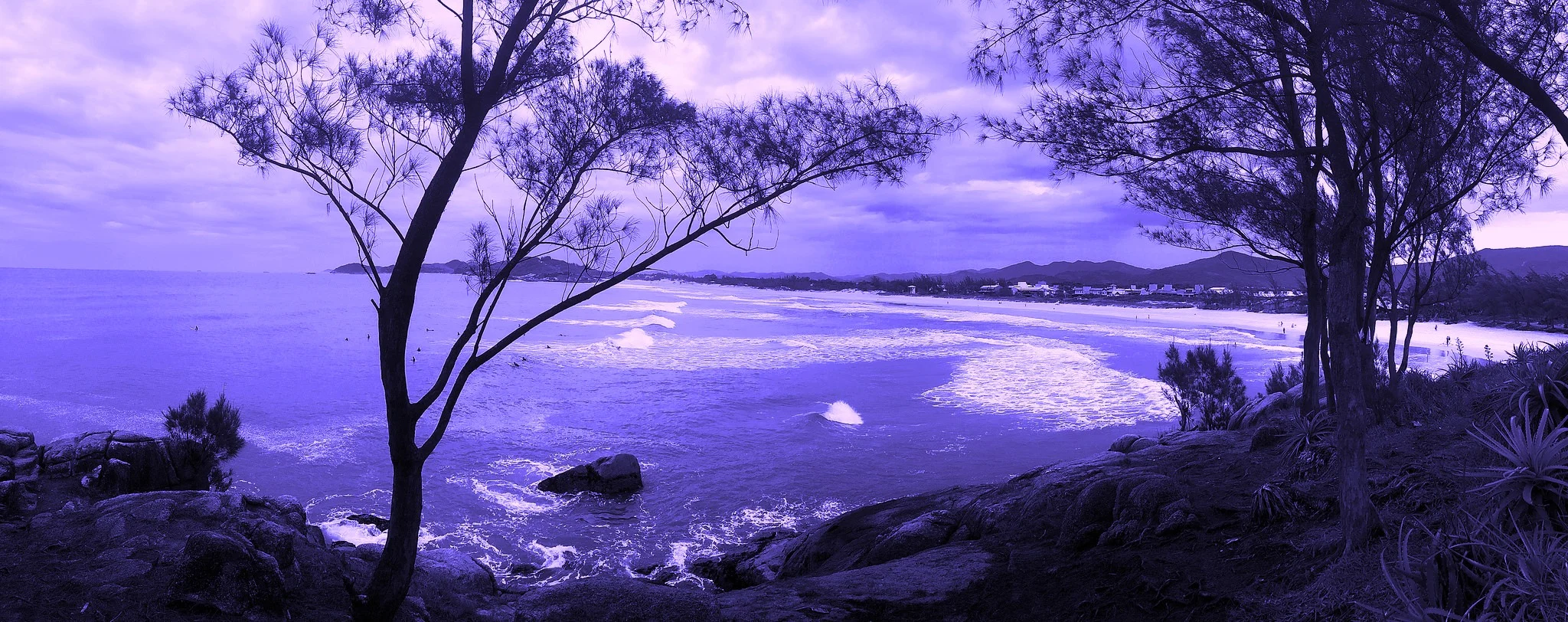 Daniel Galera's <i>Blood-Drenched Beard</i>