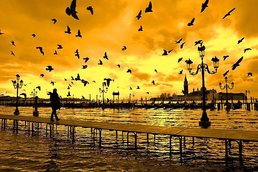 Sergio Pitol's <i>The Art of Flight</i>