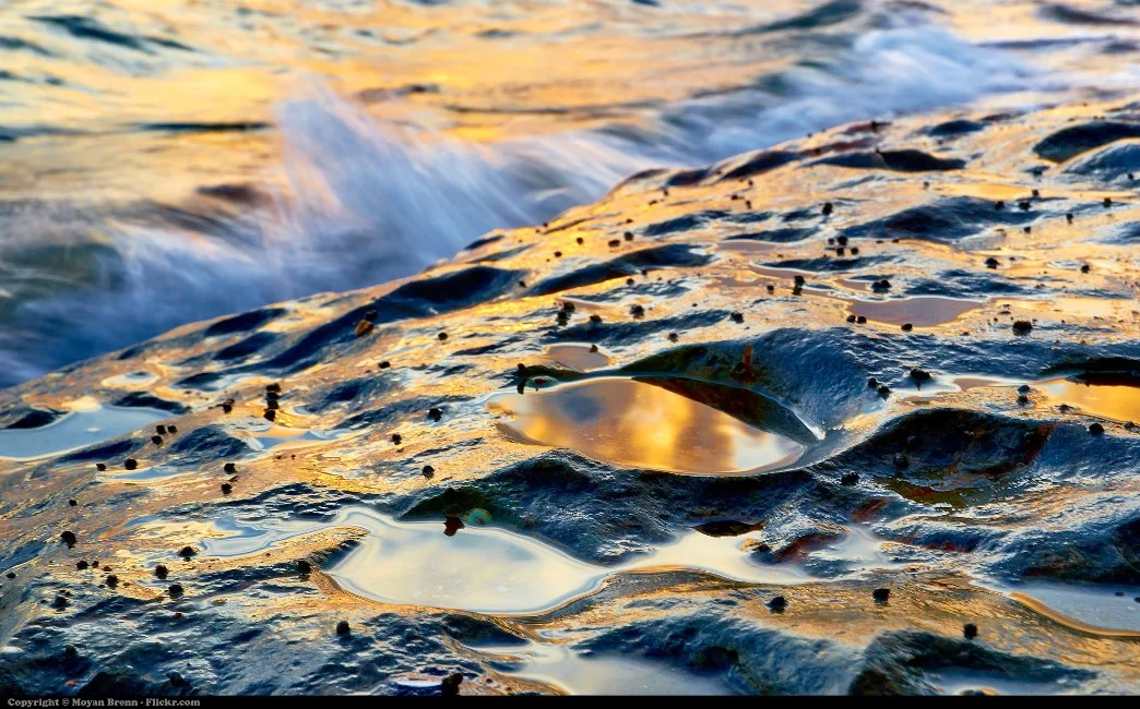 Silvina Ocampo's <i>Thus Were Their Faces</i>