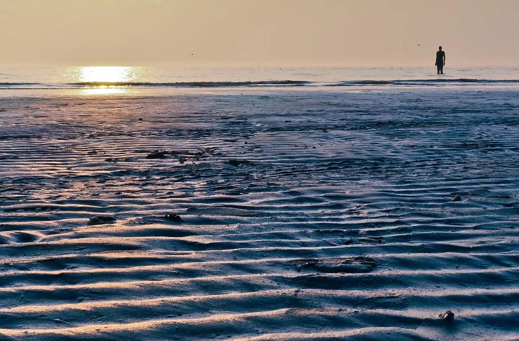 Mario Bellatin's <i>Jacob the Mutant</i>