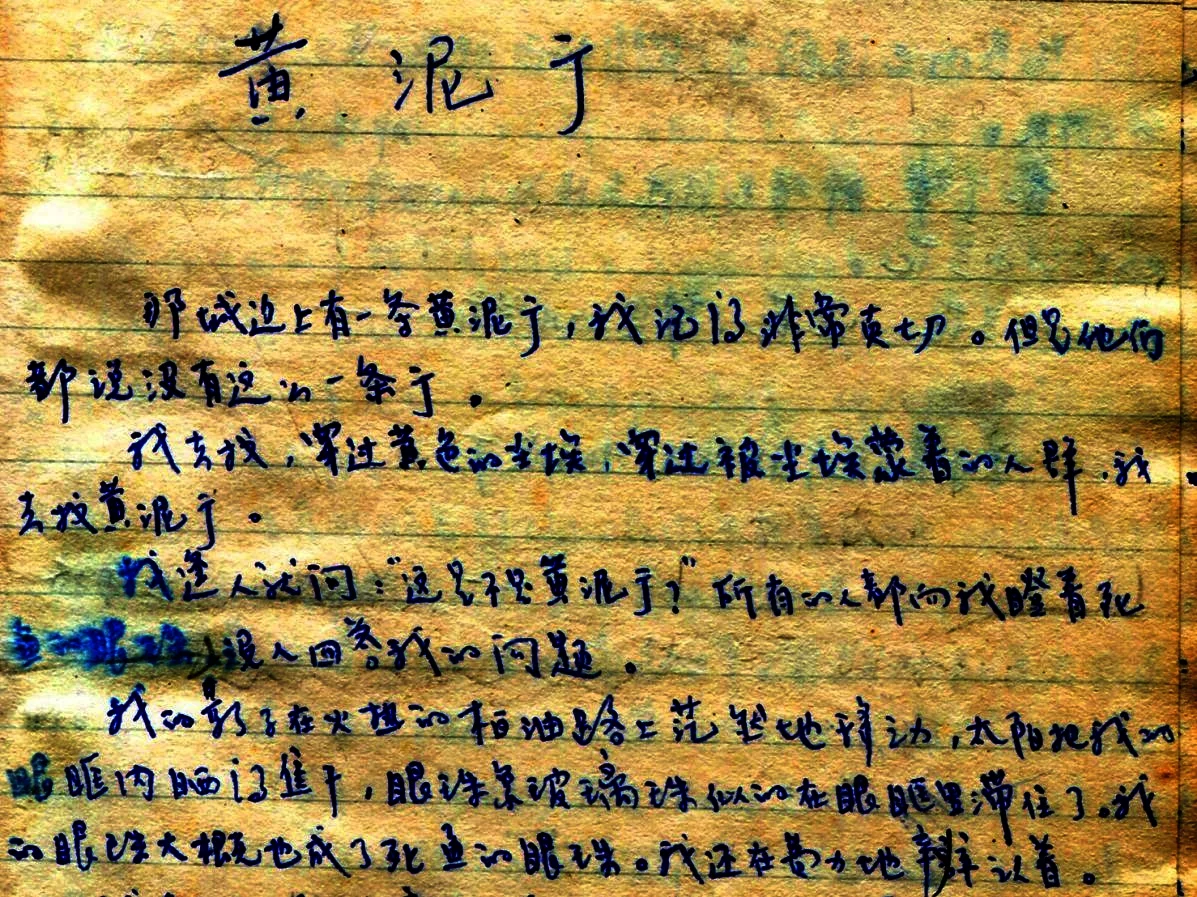 Sour, Salty, Bitter, Spicy, Sweet: On Can Xue and Five Spice Street