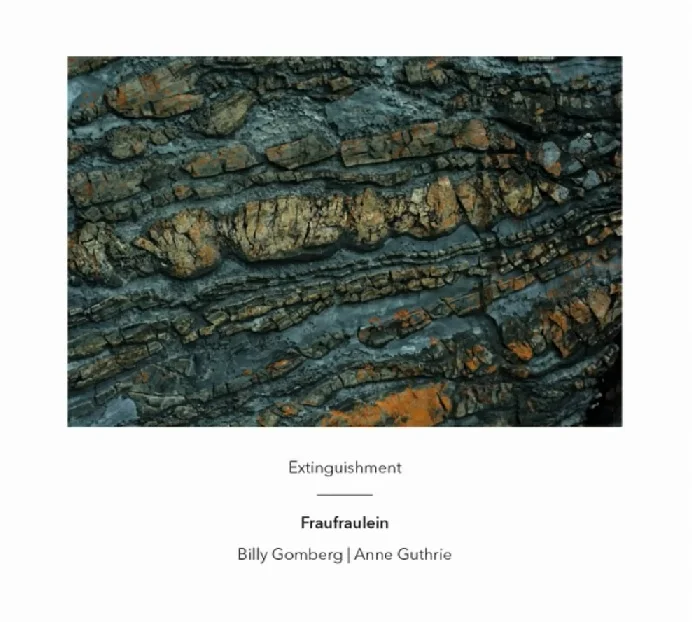 Extinguishment by Fraufraulein Billy Gomberg (bass guitar, electronics) , Anne Guthrie (horn, electronics) (Another Timbre, March 2015)