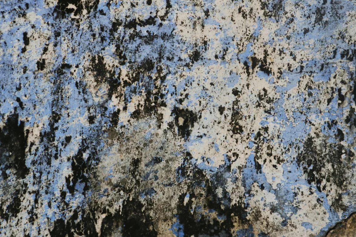 Mia Couto's <i>Pensativities</i>