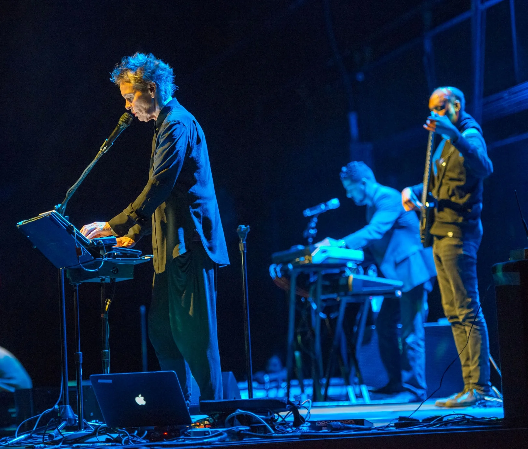 LAURIE_ANDERSON_BER_4460_CAP.jpg