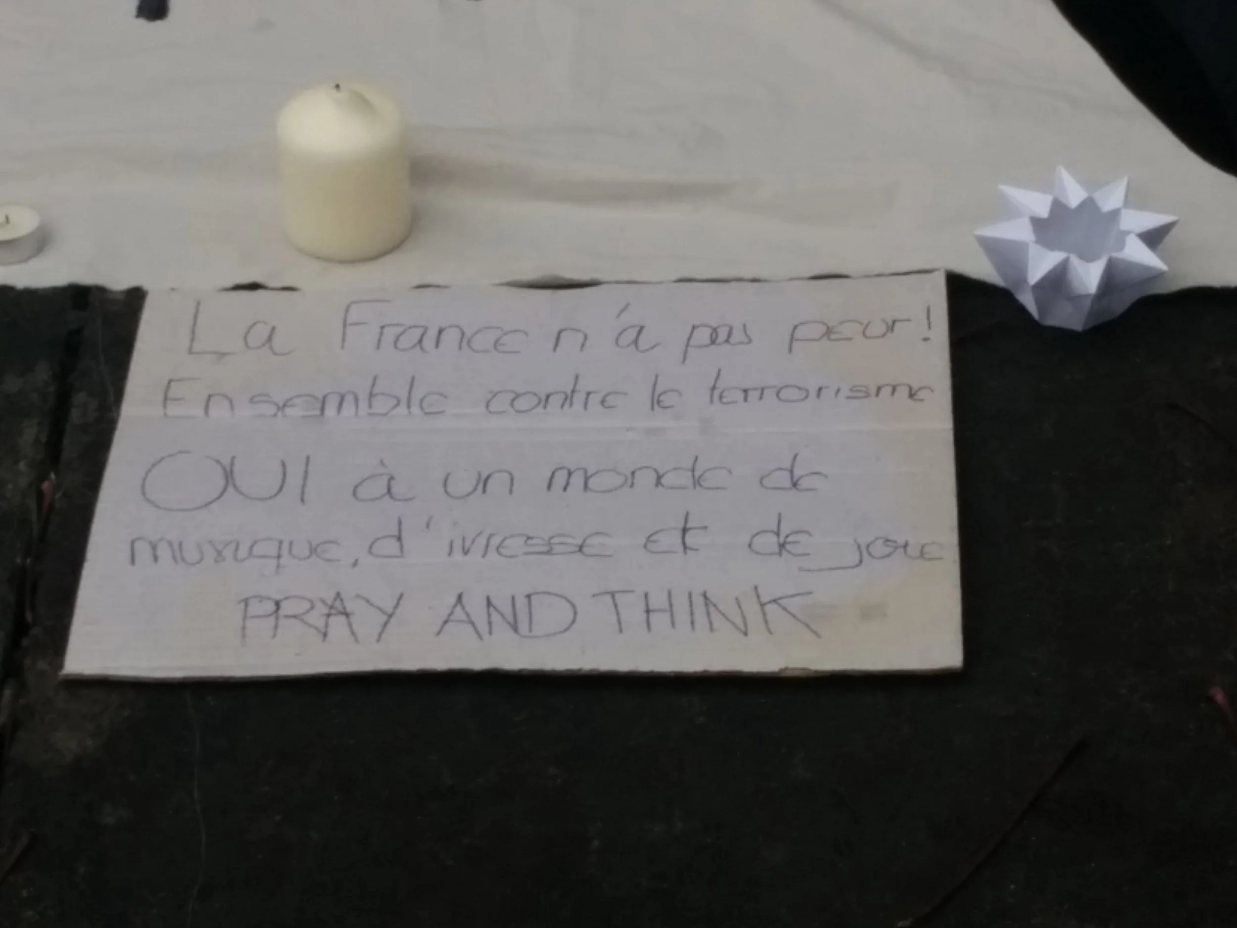 Writing in a State of National Emergency: on Dubravka Ugrešić