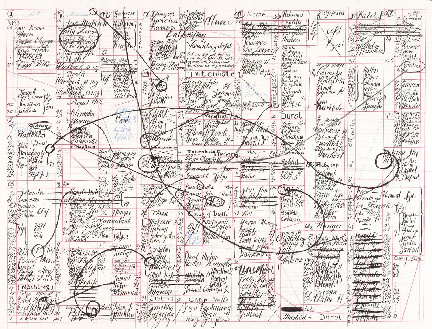 Marlene van Niekerk’s <i>The Swan Whisperer</i>