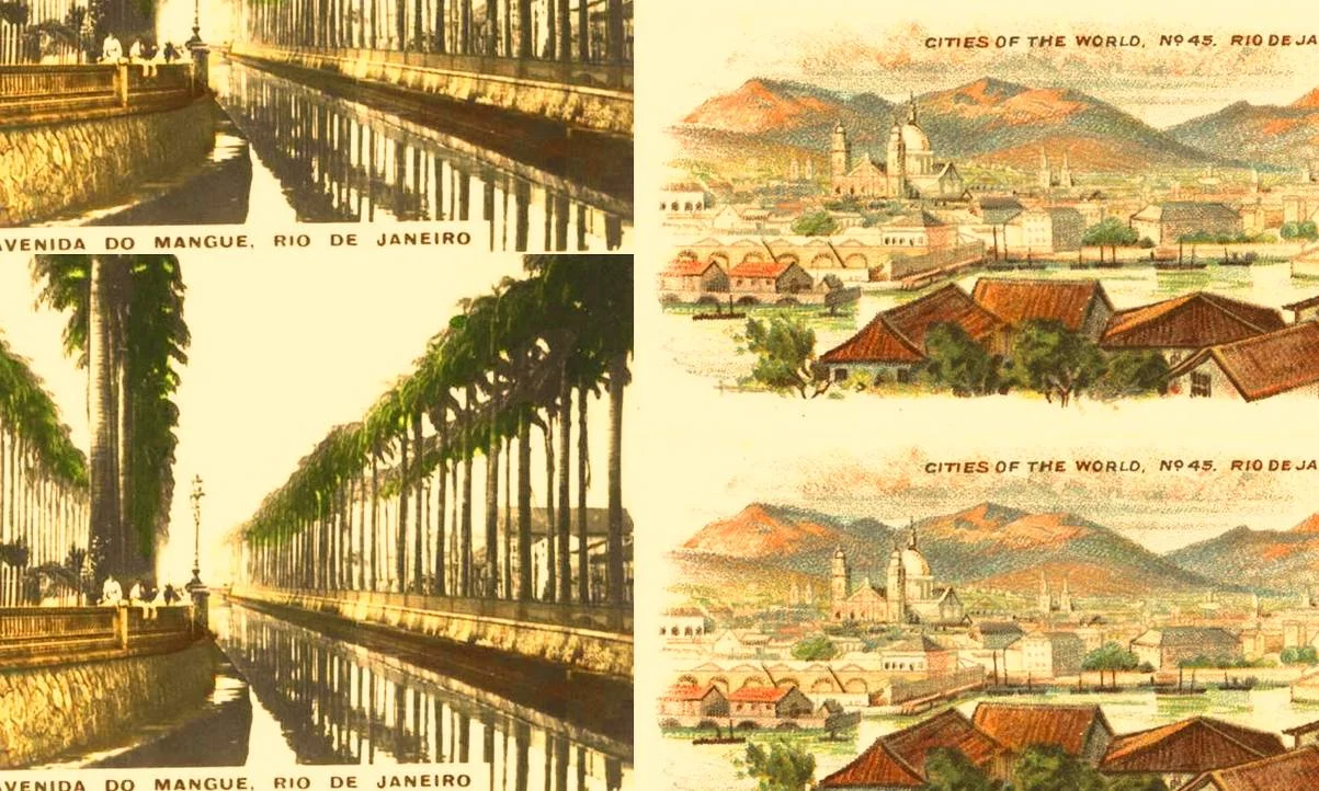 Idra Novey's <i>Ways to Disappear</i>