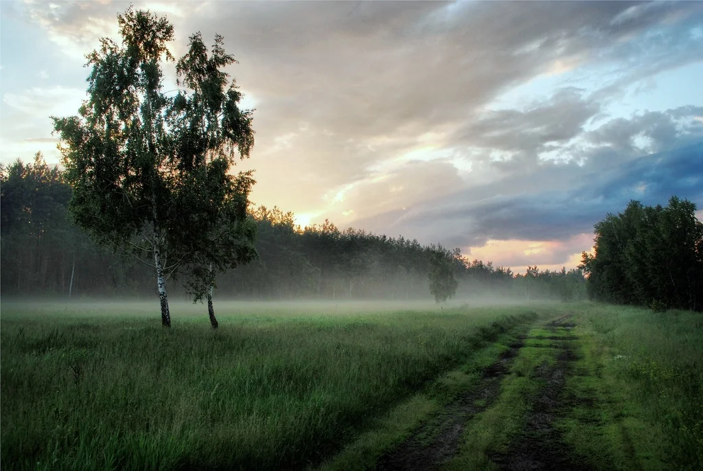 Szilárd Borbély’s <i>The Dispossessed</i> & <i>Berlin-Hamlet</i>