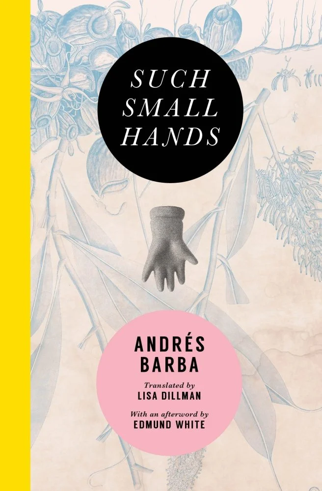 Such Small Hands by Andrés Barba tr. Lisa Dillman (Transit Books, April 2017) Reviewed by Mark Haber