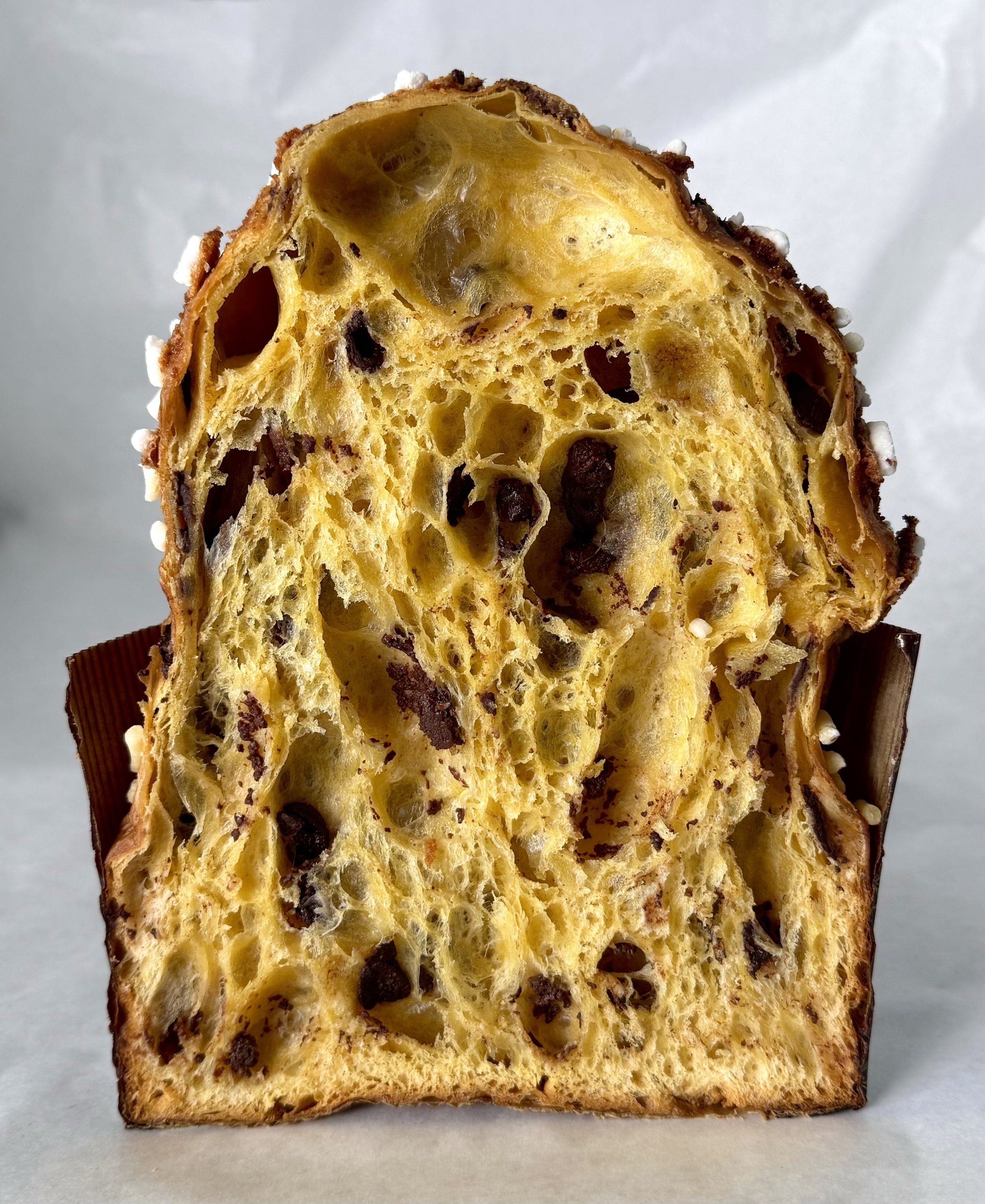 Chocolate Orange Panettone
