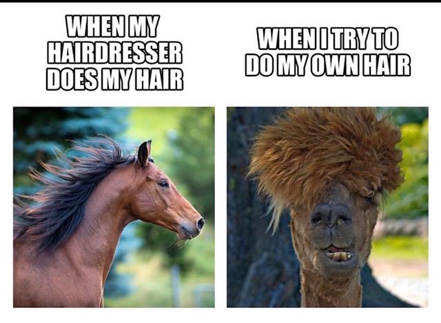 Don&rsquo;t rely on your own hair styling skills use ours!  #holidayparty #christmashair #nolahair #neworleanshair #neworleanssalons #davines #davinesholiday.