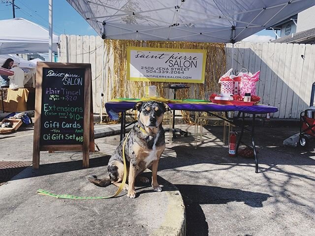 It&rsquo;s a beautiful day on Freret Street. Stop by and see us at our booth for the Freret Street Market (11-4). We have hair tinsel, hair extensions, gift cards, and puppy dogs!