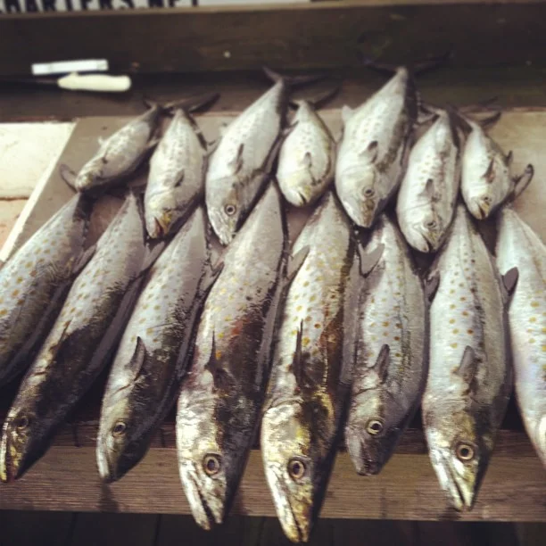 2013-08-23_1377282206.jpg