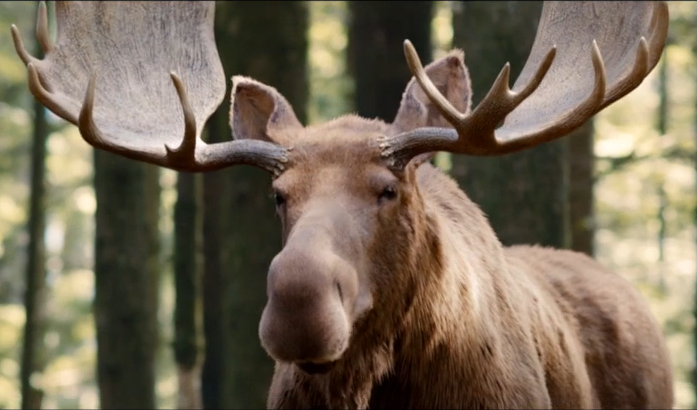 Screen Shot 2015-11-06 at 7.06.23 PM.png