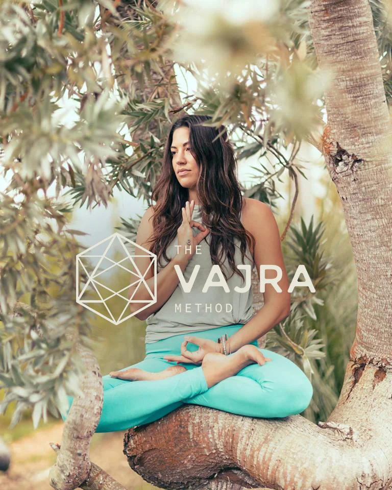 VajraMethod-Announcement-01.jpg
