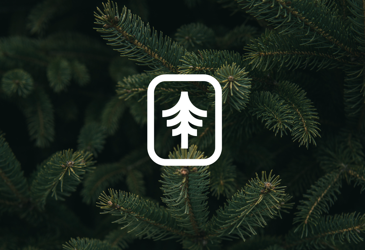 Screen Shot 2021-12-04 at 10.09.23 AM.png