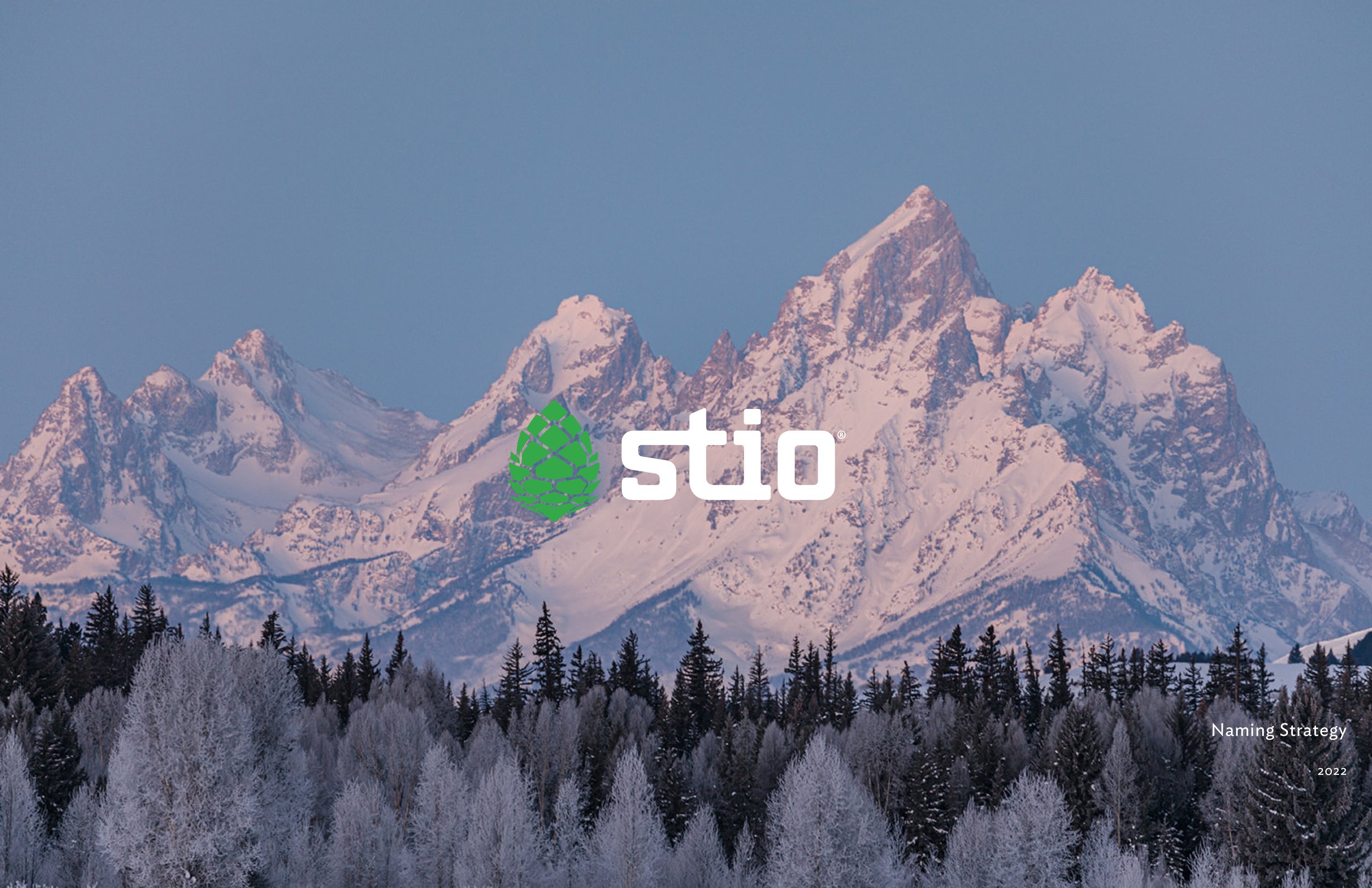 StioNamingStrategy-2022-V2.jpg