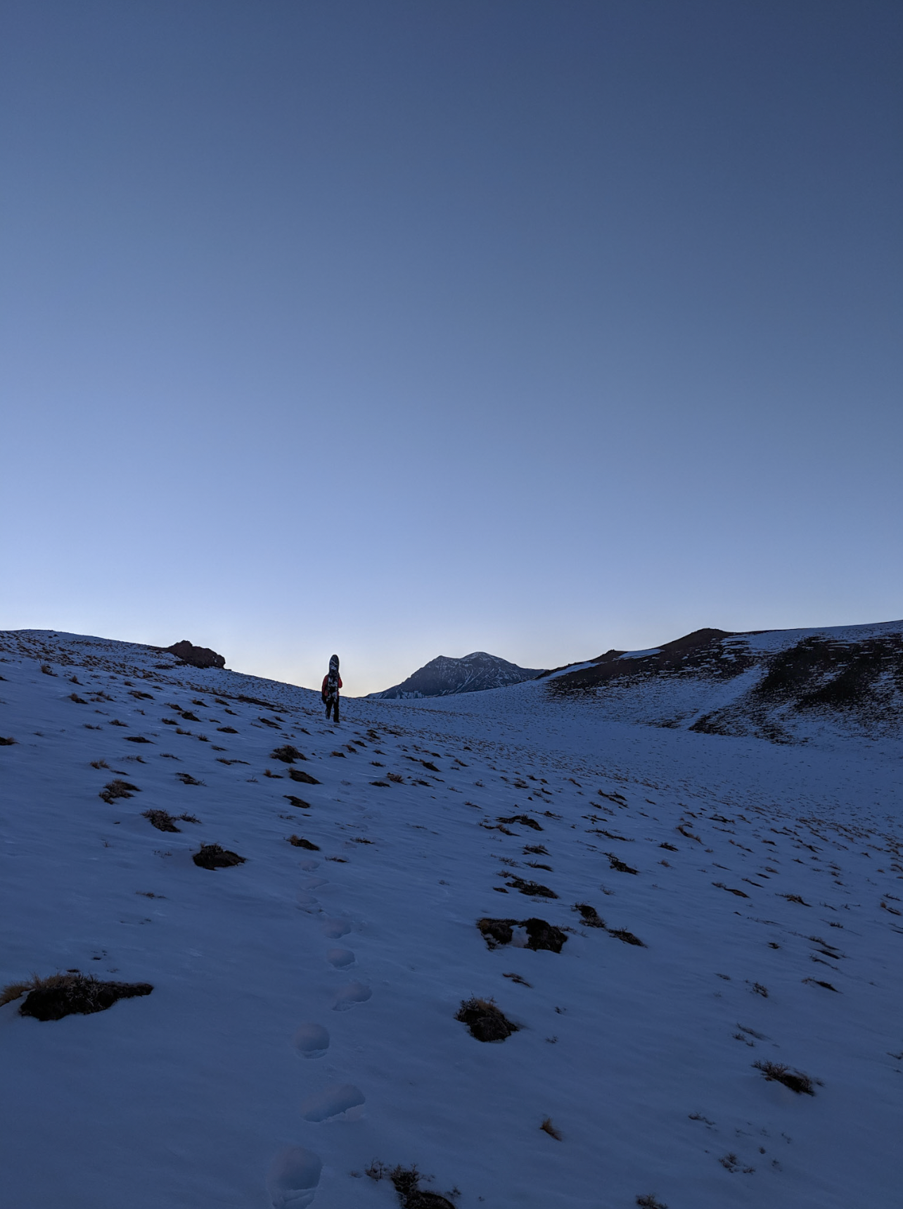 Screenshot 2026-03-07 at 11.51.17 AM.png