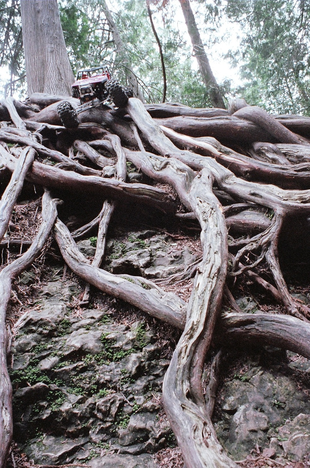   Elora, Ontario; Pentax Spotmatic F, Super Takumar 50 f/1.4, Kodak Portra 400 @ ISO 400  