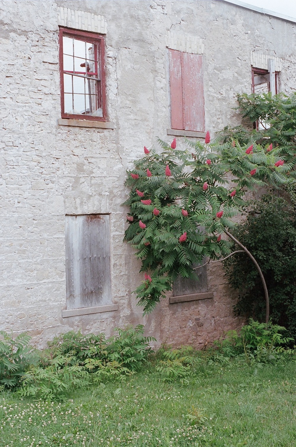   Elora, Ontario; Pentax Spotmatic F, Super Takumar 50 f/1.4, Kodak Portra 400 @ ISO 400  