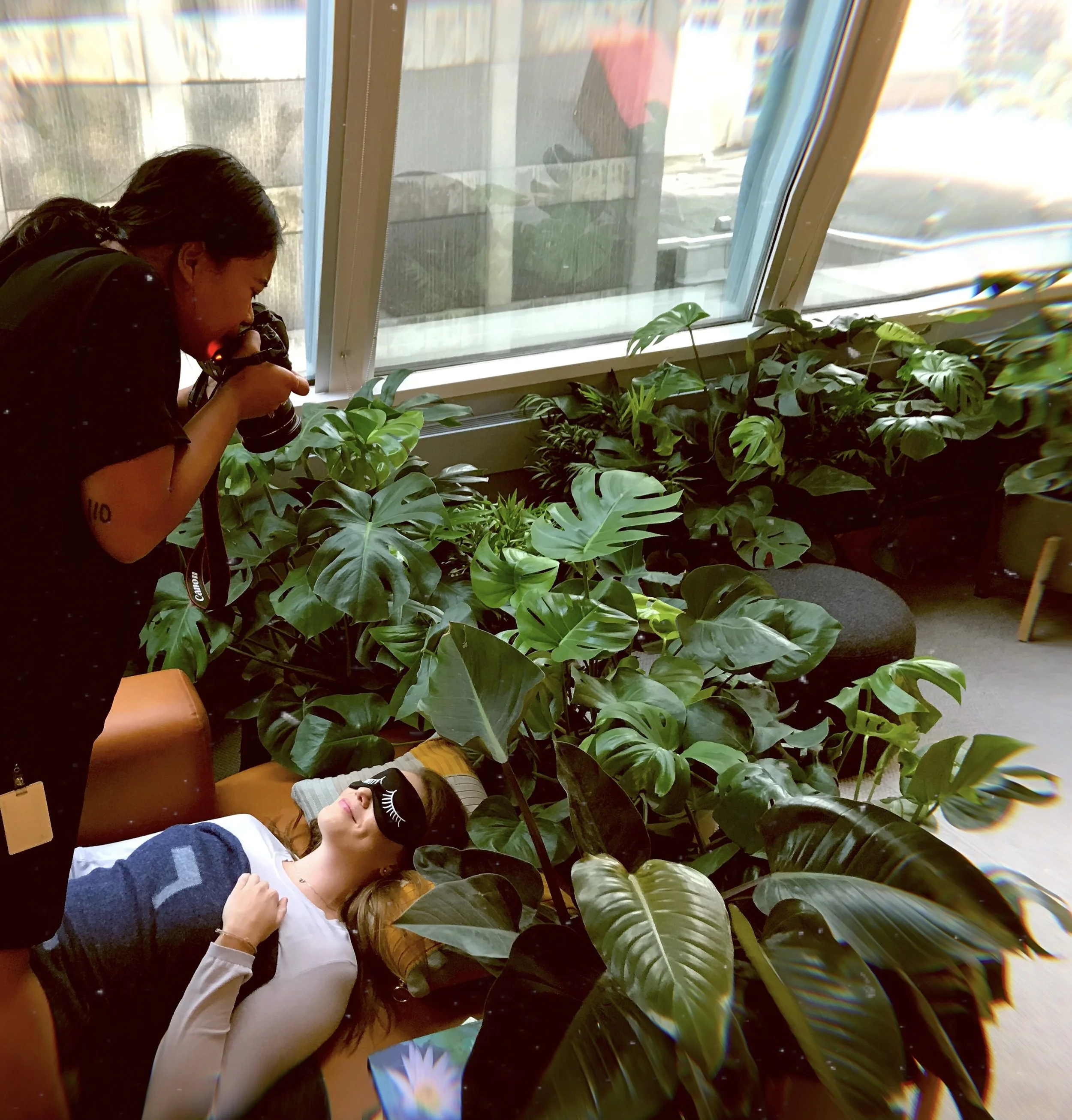 Orbitz Plant Pop-up photoshoot