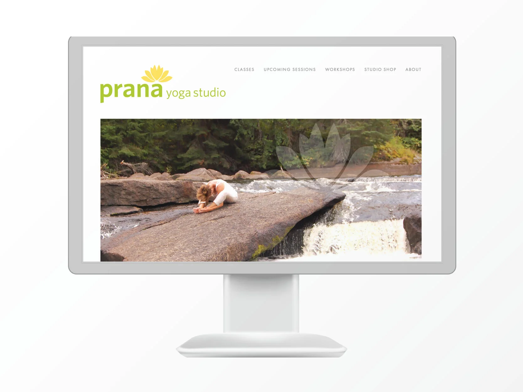 web-site-designer-aniko-szabo2.jpg