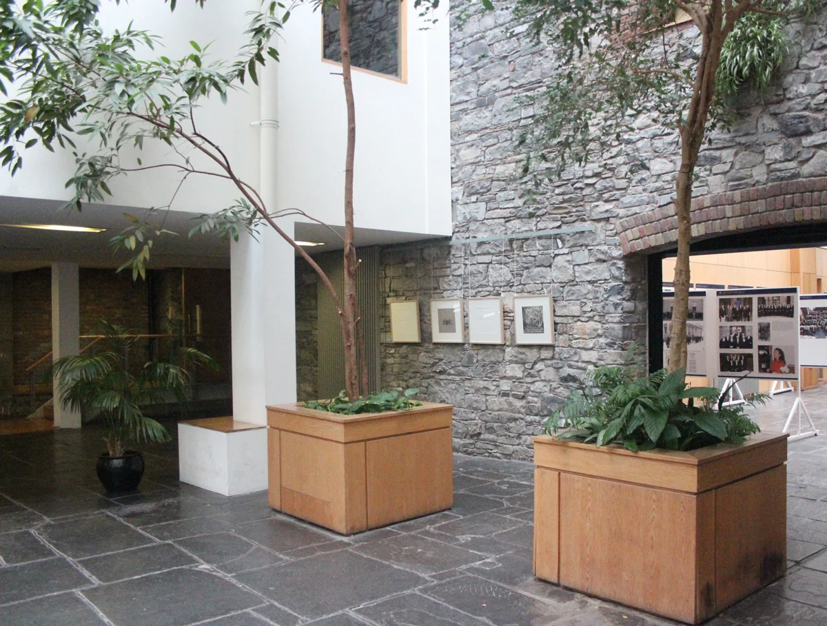Installation view