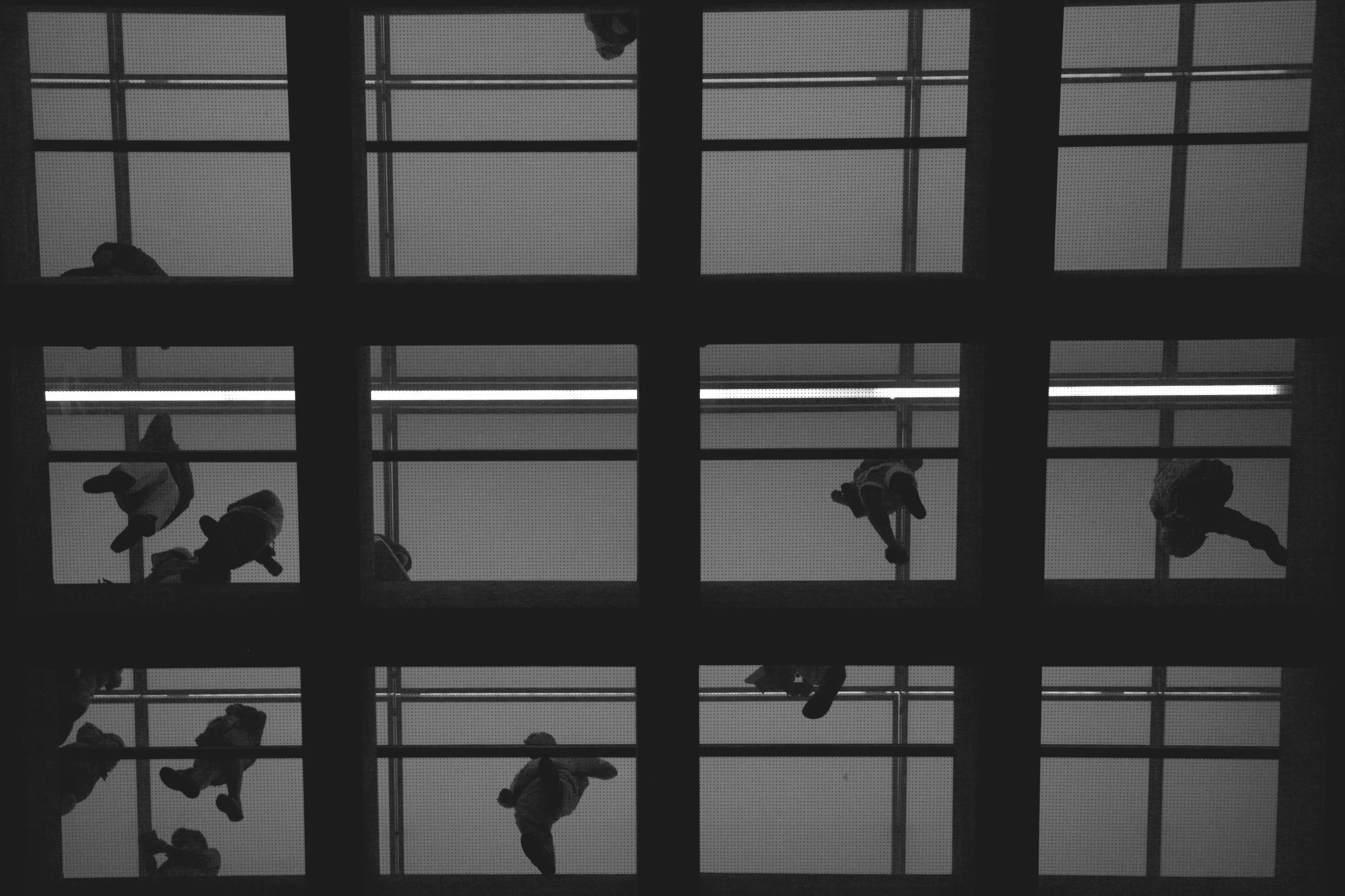 acrop_mus_square_004_b&w.jpg