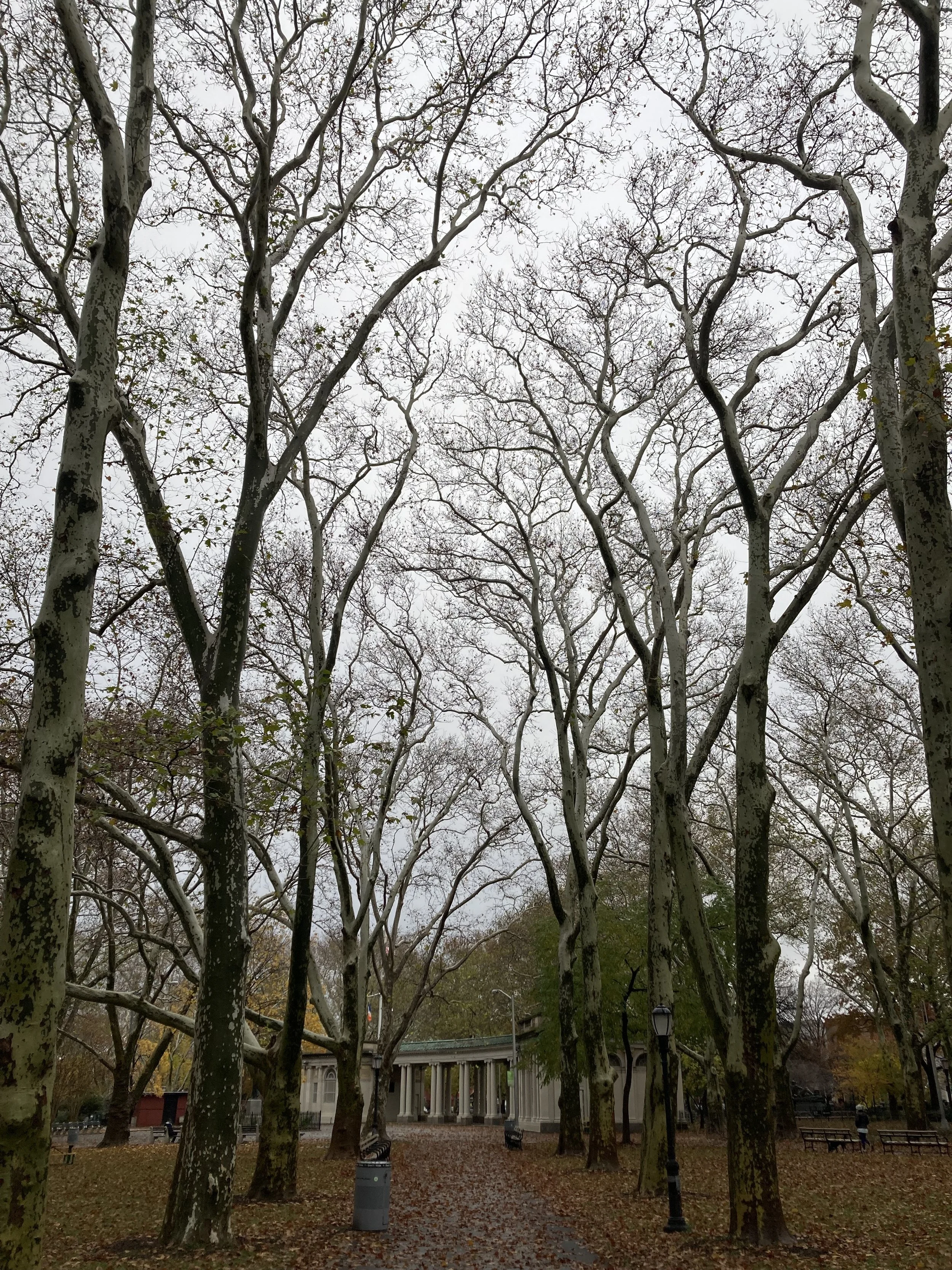 Msgr. McGolrick Park, 2023. 9x12. Digital C-Print.
