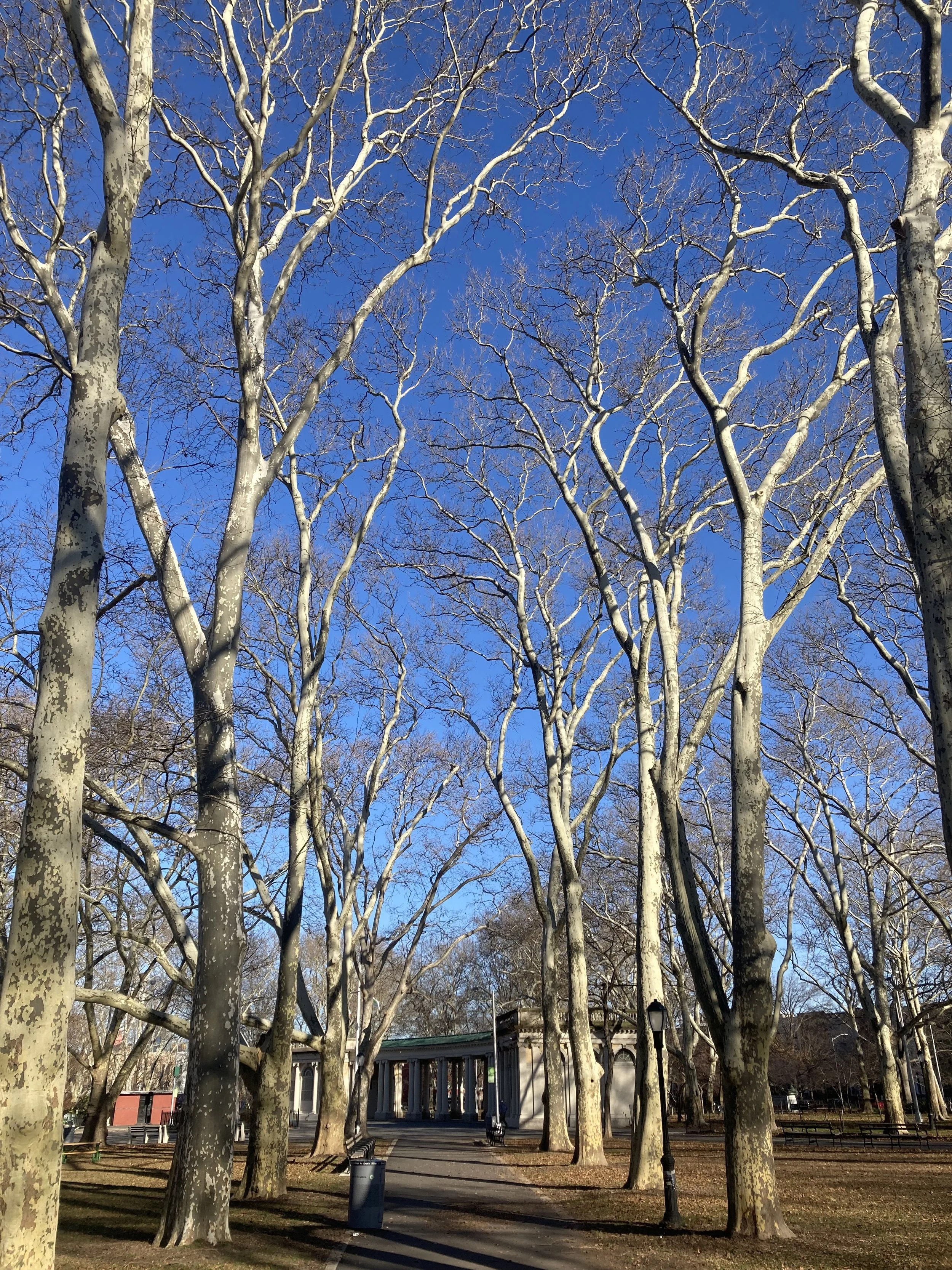 Msgr. McGolrick Park, 2023. 9x12. Digital C-Print.