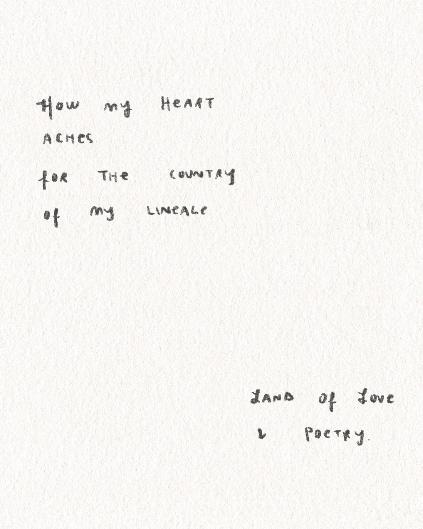 A poem, a prayer, a hope.⁣
⁣
🌟 ⁣
⁣
Words that poured through.⁣
⁣
Please, my loves -⁣
A reminder to uplift, to listen, to center.⁣
⁣
To allow for many things to be true at once.⁣
⁣
May we dance in Tehran one day.⁣
May Iran be free.⁣
⁣
&hearts;️