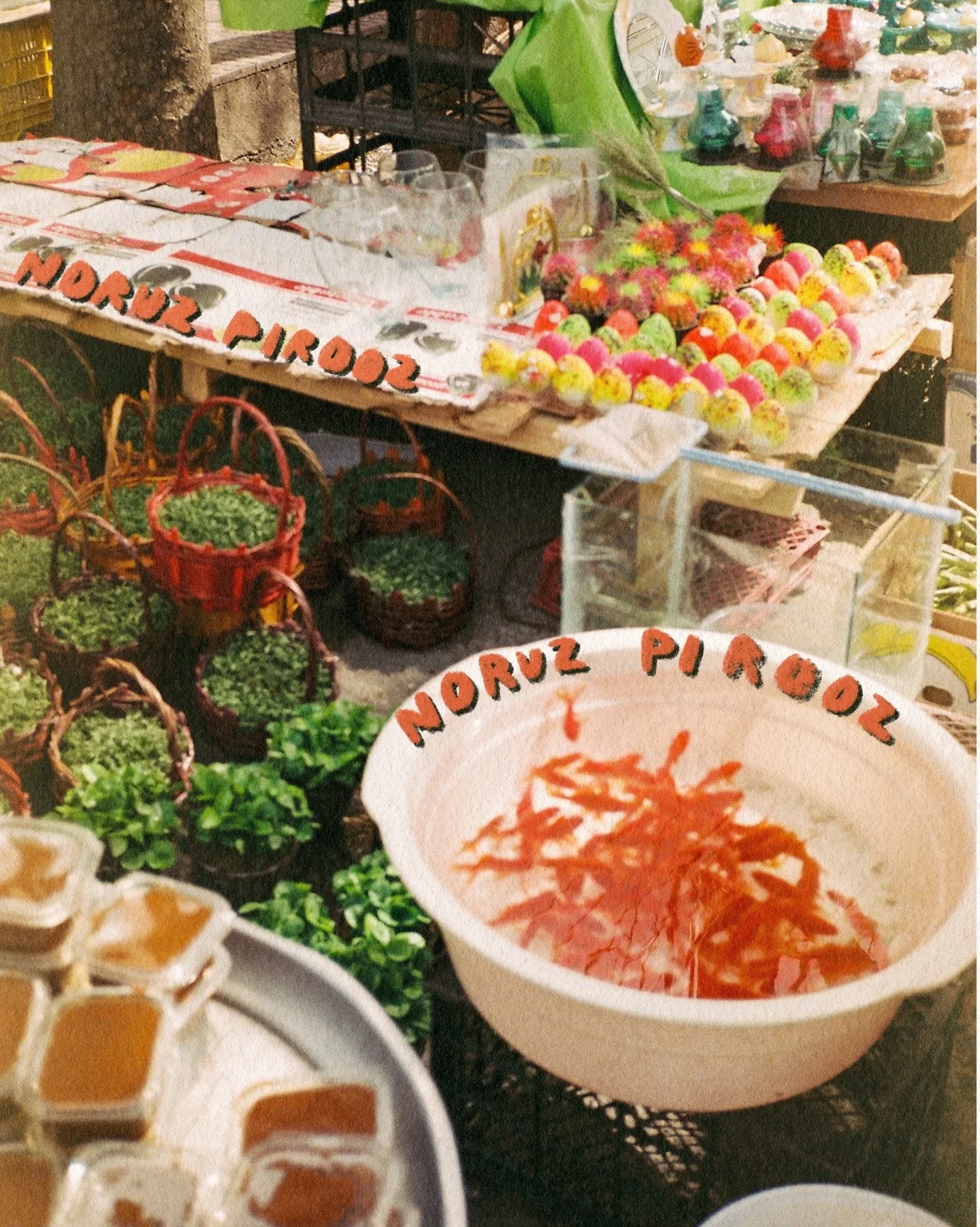 Noruz mobarak 🪻⁣
⁣
I know how heavy these times feel for so many of us, ⁣
Yet still I cling to this ancient ritual of birth and light. ⁣
⁣
May Noruz remind us of this.⁣
May our seeds sprout.⁣
May there be light again, ⁣
Always light.⁣
⁣
Noruz pirooz