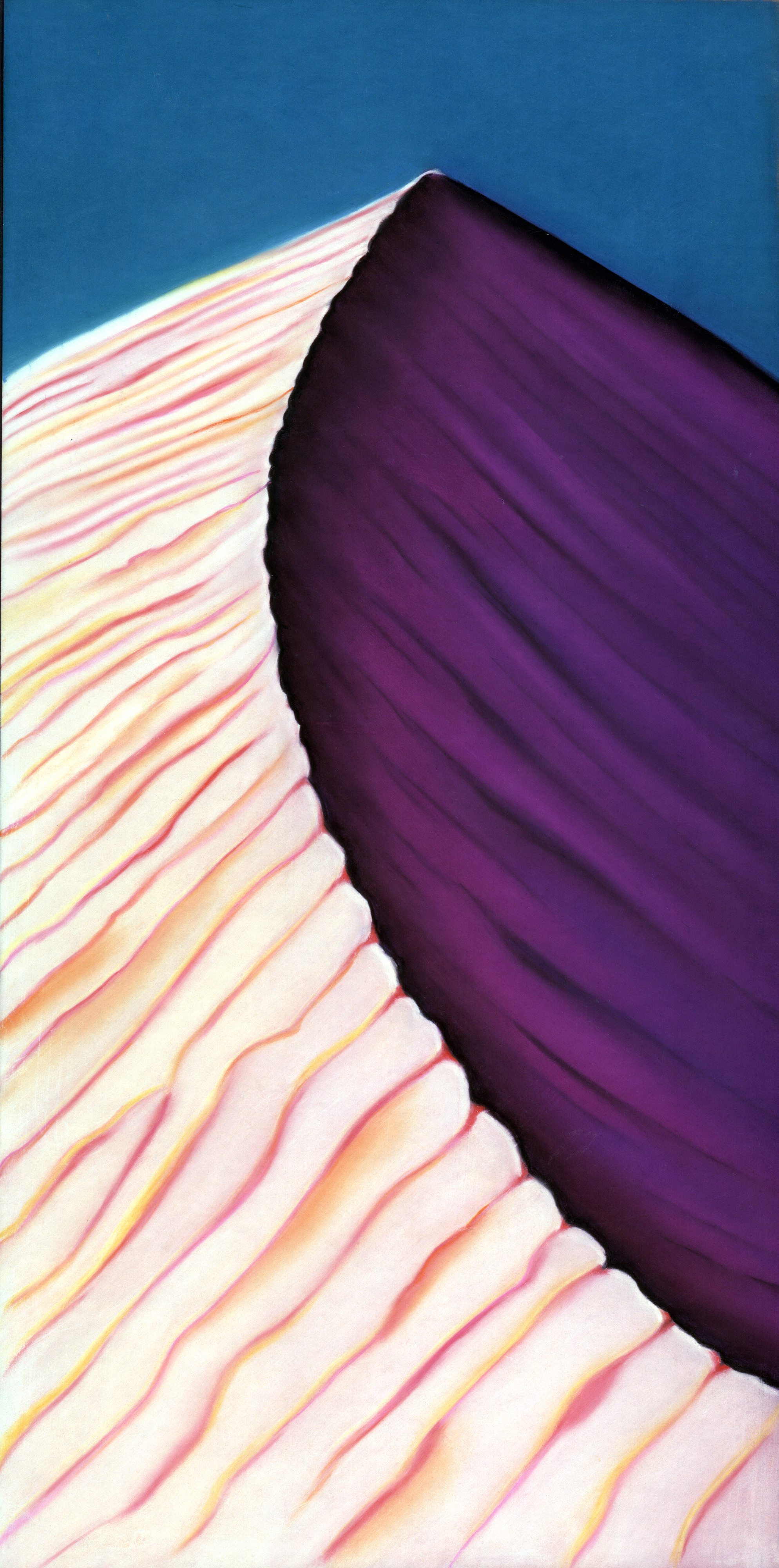 "Crest" pastel, 15x30"