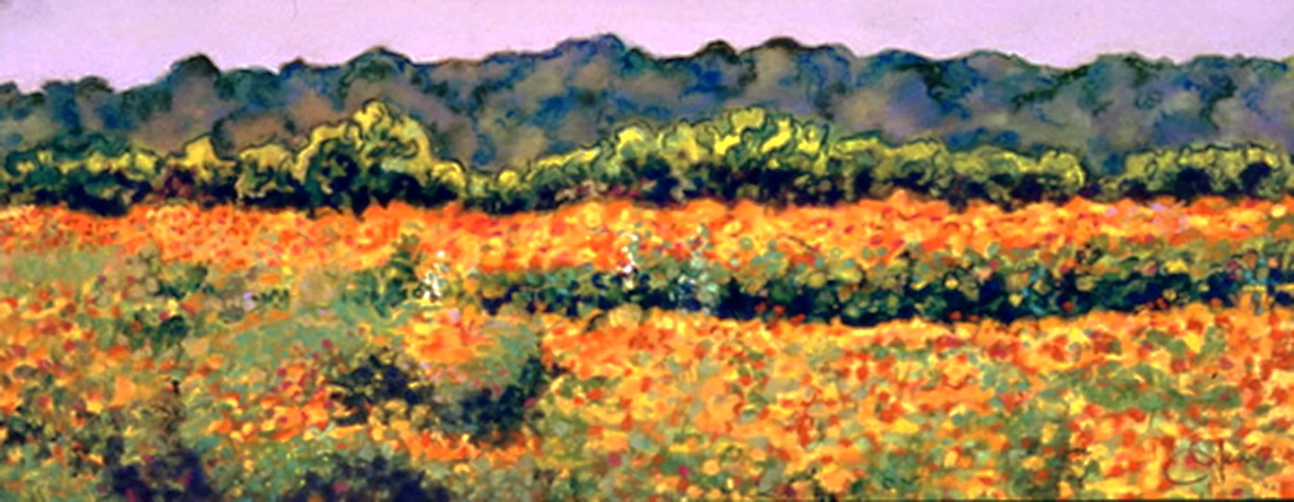 Wildflowers 12 x 5 pastel .jpg