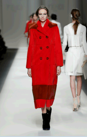 Fendi 3.gif