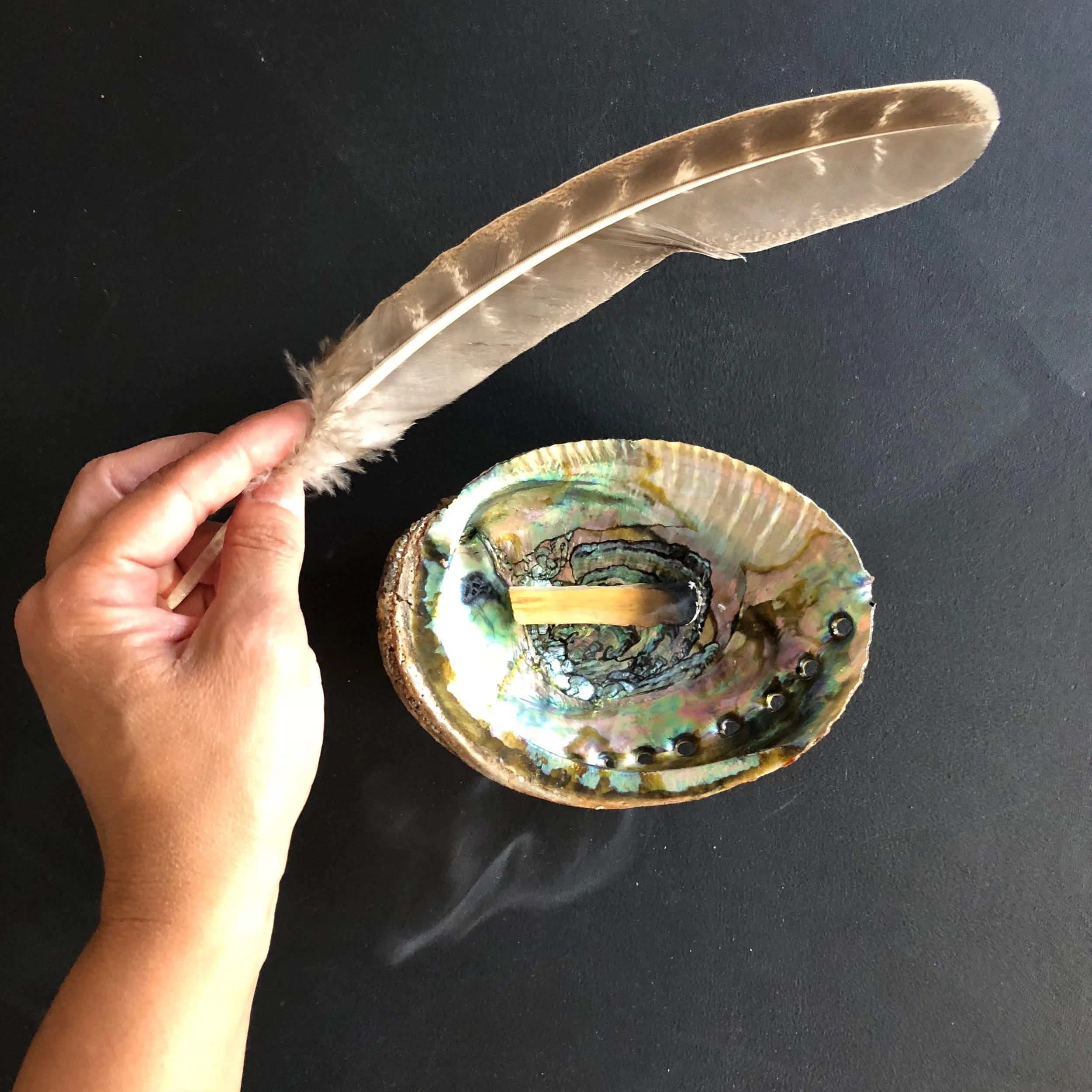 Palo Santo burning sticks bundle with shell and feather