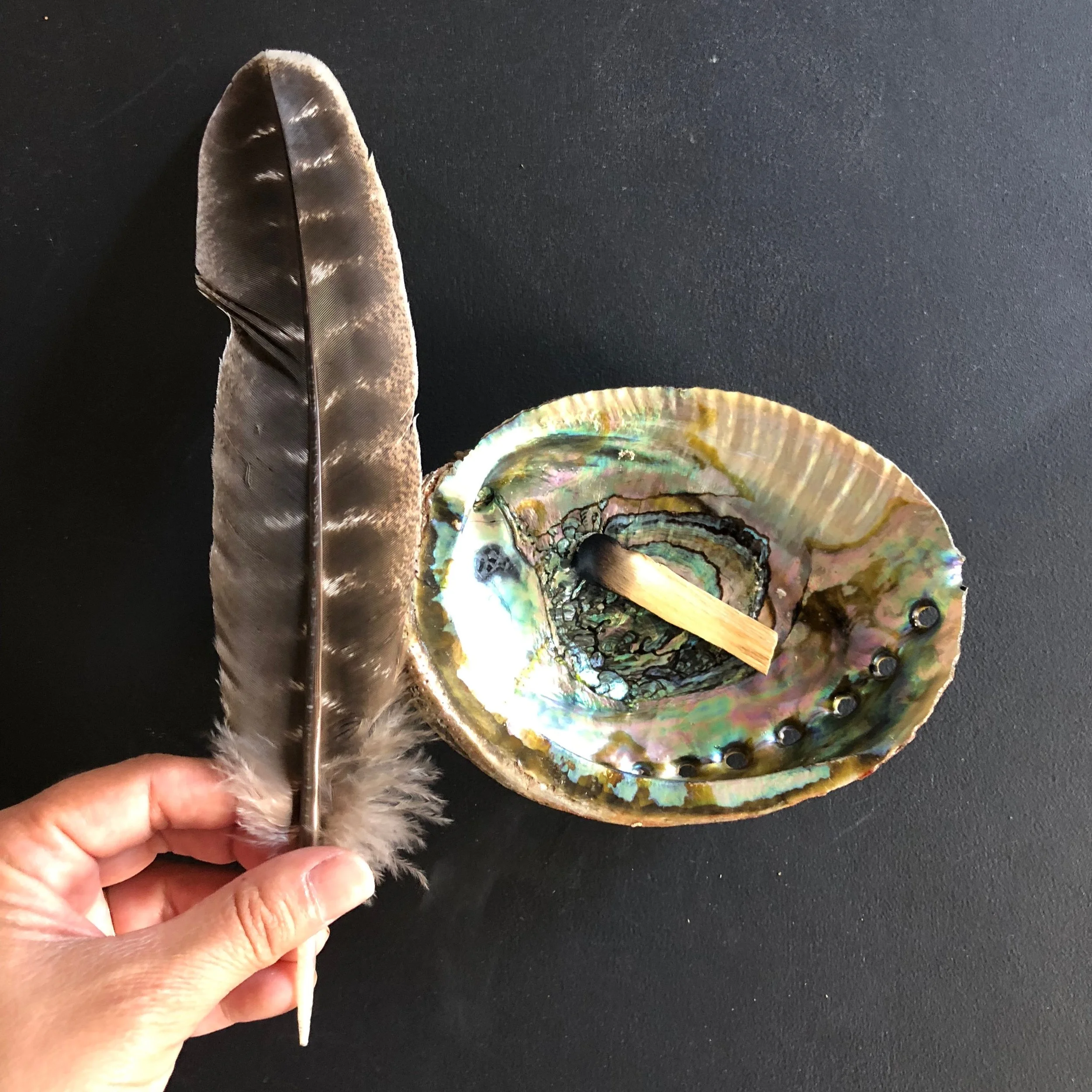 feather shell and sticks elements