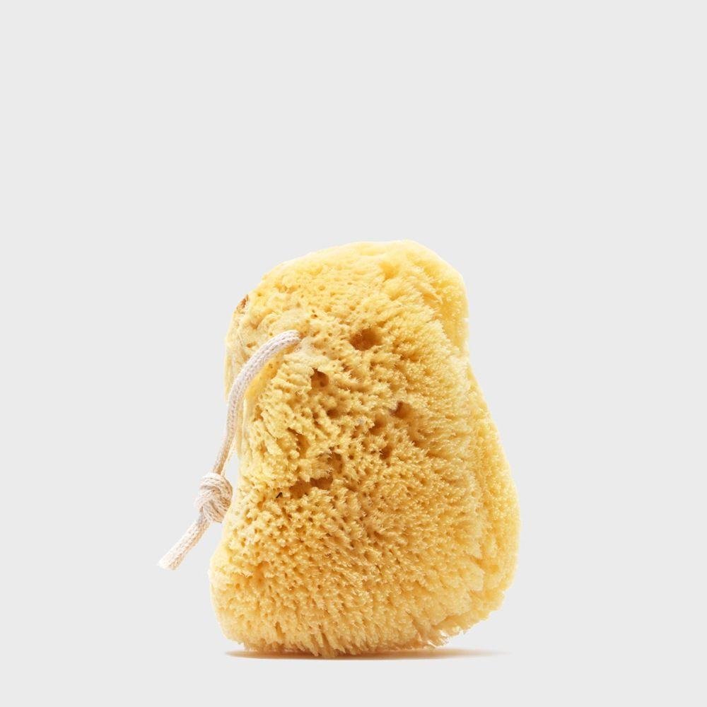 Medium Sea Sponge with Rope — Nectar Republic