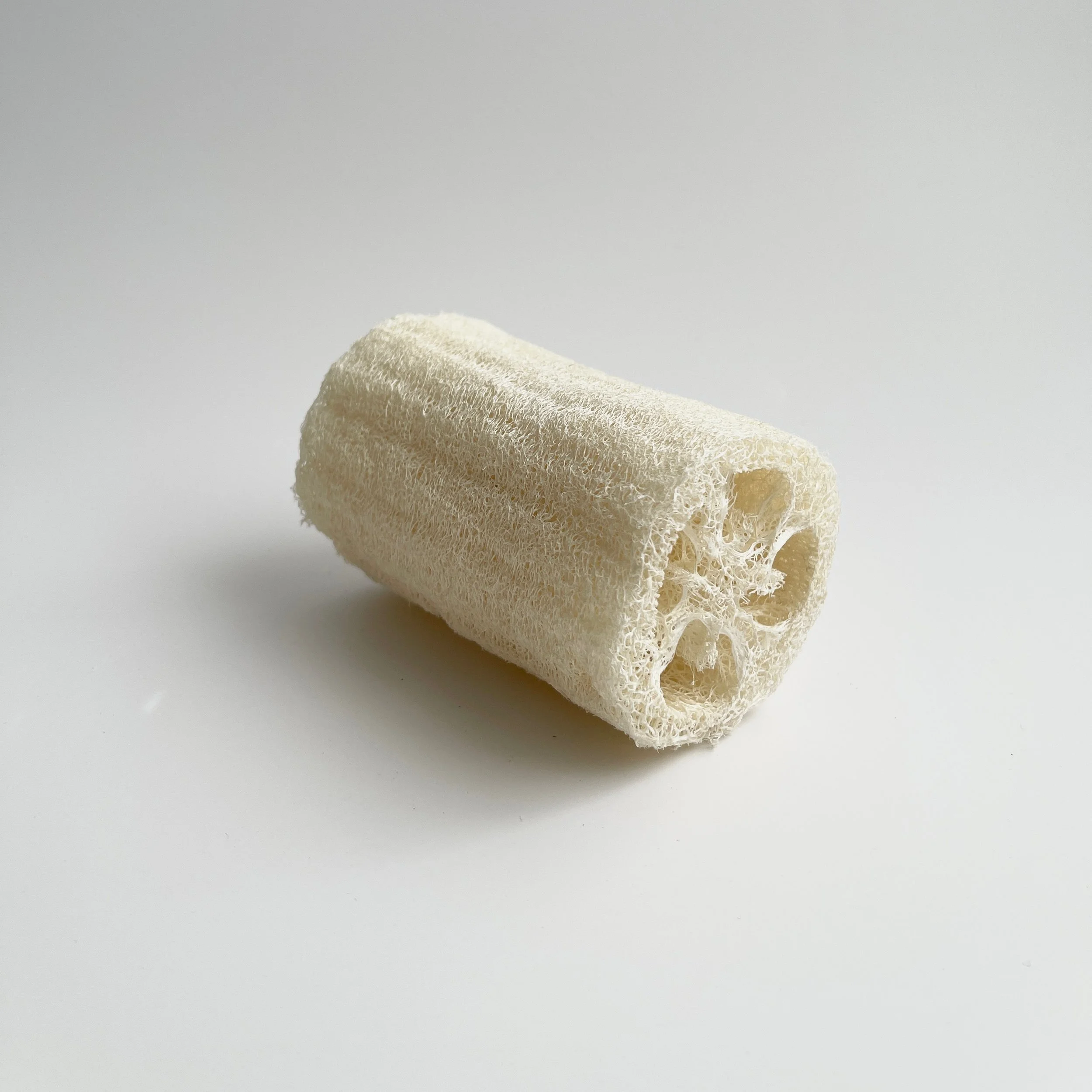 Loofah.jpg