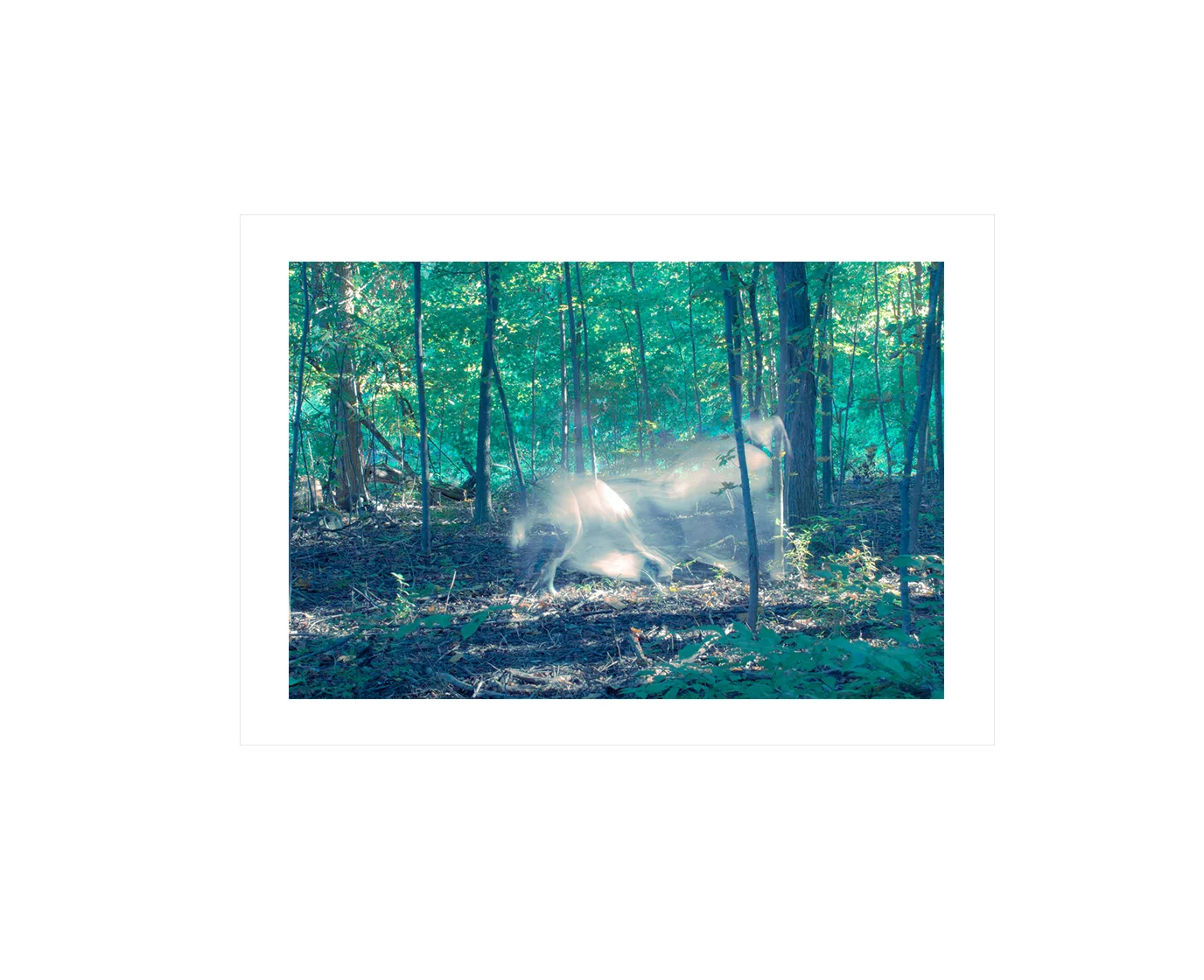 print template ghost.jpg